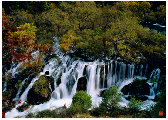 阿壩州建州70周年 生態(tài)優(yōu)先 向“綠”而行 凈土阿壩盡顯好山好水好風(fēng)光(1)(1)1600.png