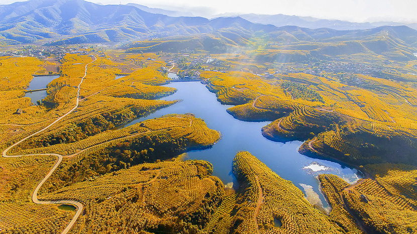 會理萬畝石榴基地秋景_副本.jpg